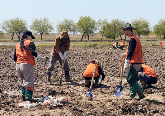 4월 11일 철새 서식지 복원 활동